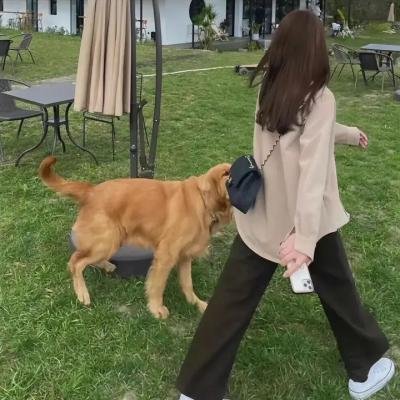 百年的时钟